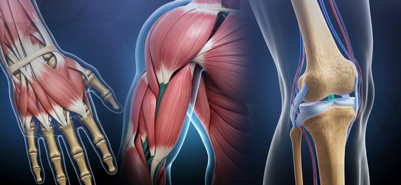الكشف على المفاصل والعضلات والأوتار بالموجات فوق الصوتية الدوبلر